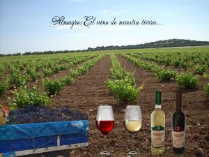 FOTO COLLAGE VIÑA COPAS Y BOTELLAS VINO COMEDIANTE