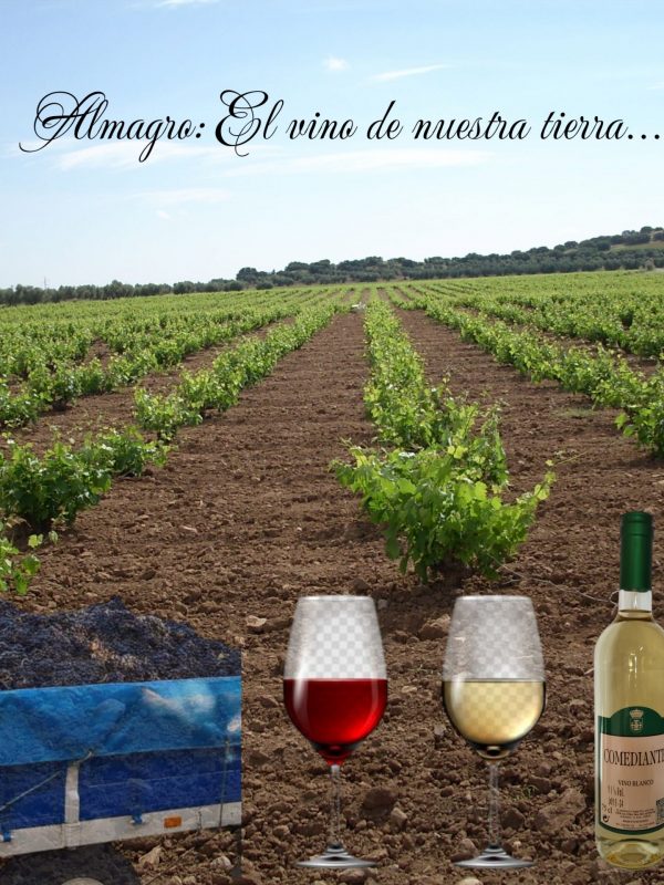 FOTO COLLAGE VIÑA COPAS Y BOTELLAS VINO COMEDIANTE